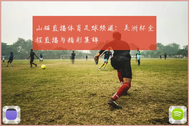 山猫直播体育足球频道：美洲杯全程直播与精彩集锦