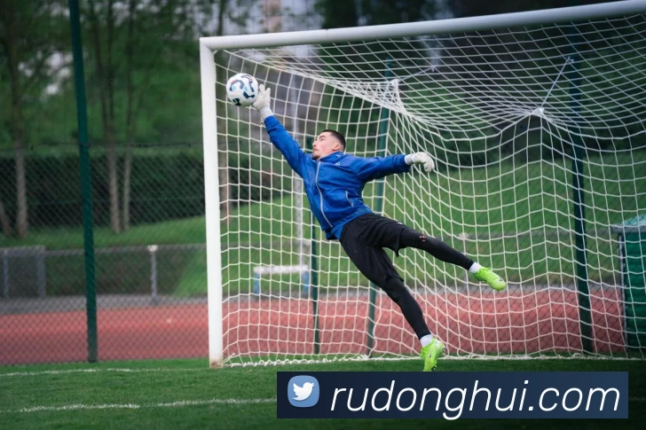 九游体育app官网入口网页平台生态图