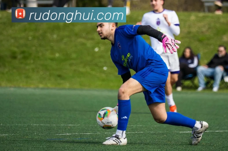 九游体育app官网入口网页全站App 九游体育app官网入口网页全站App